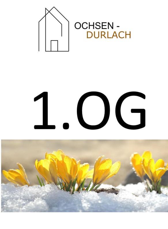 Apartment Ochsen-durlach *